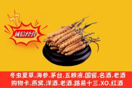 海南乐东县名酒回收冬虫夏草.jpg